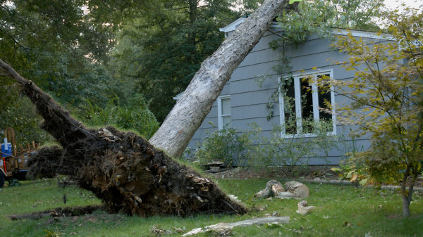 
                Что мне дождь, что&nbsp;мне зной
            