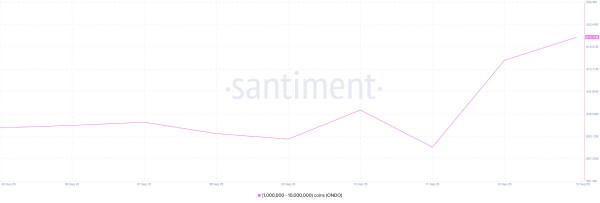 
                    Какие криптовалюты покупали в сентябре киты-воротилы?                
