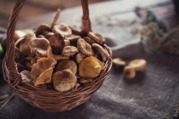 Как засолить «капризные» волнушки — без бочки не обойтись