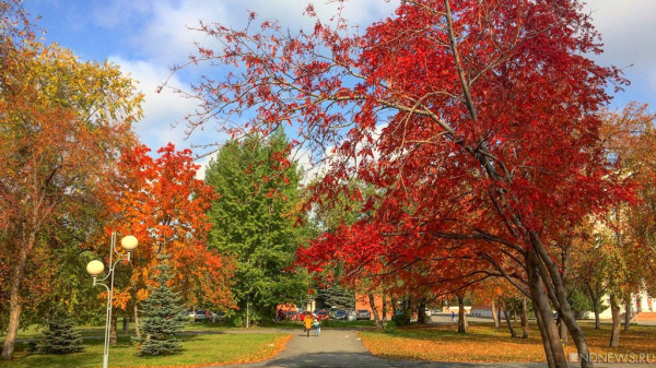 29 октября ожидаются следующие события – Челябинск