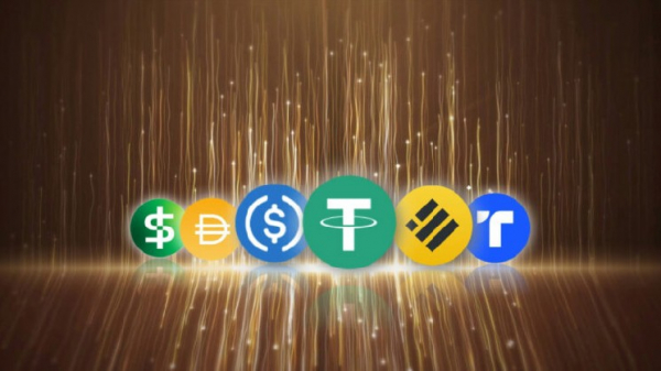 Что такое сети стейблкоинов?