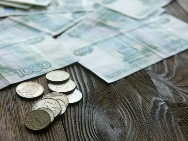 Эксперты МВД рассказали, как отличить мошенничество в сфере инвестиций
