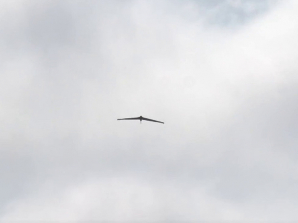 Массовую атаку беспилотников отразили силы ПВО минувшей ночью