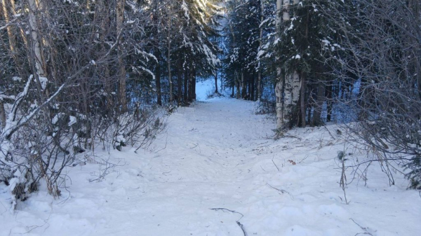 На Ямале ребёнок на снегокате врезался в дерево и травмировался На Ямале ребёнок на снегокате врезался в дерево и травмировался