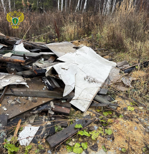 Суд обязал МУГИСО убрать свалку у Шарташского лесопарка (ФОТО)