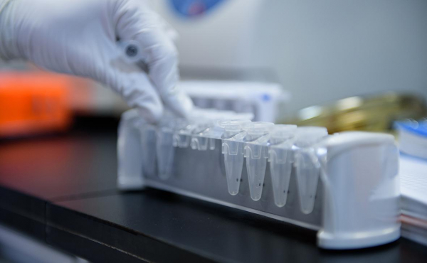 
                    Производитель лекарств на травах от ВИЧ из КНДР решил выйти в Россию
                