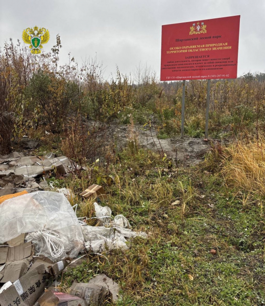 Суд обязал МУГИСО убрать свалку у Шарташского лесопарка (ФОТО)