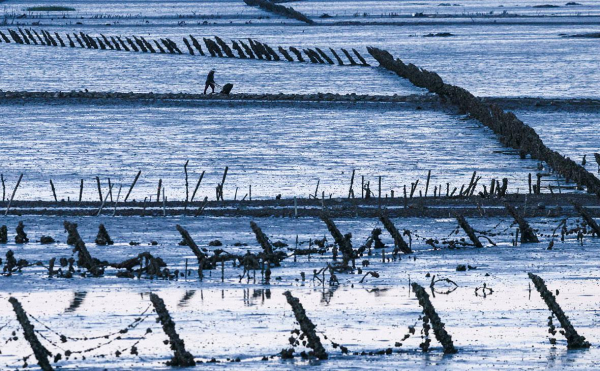 
                    Трамп заявил, что Си Цзиньпин понимает последствия вторжения на Тайвань
                