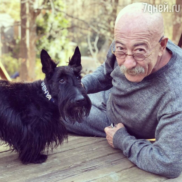 Розенбаум устроил разнос обидчикам — «с отвратительными вещами нужно бороться» Розенбаум устроил разнос обидчикам — «с отвратительными вещами нужно бороться»