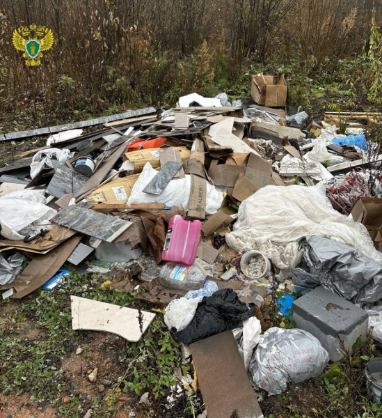 Суд обязал МУГИСО убрать свалку у Шарташского лесопарка (ФОТО)