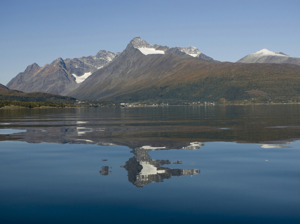 Стало известно о разливе дизельного топлива в норвежских водах
